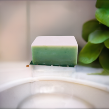 Load image into Gallery viewer, Handmade Tea Tree Herbal Soap (2 Soaps)
